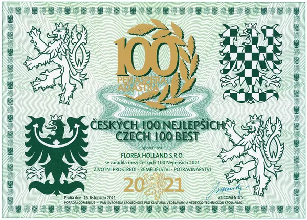 Diplom Českých 100 nejlepších 2021 pro Florea Holland