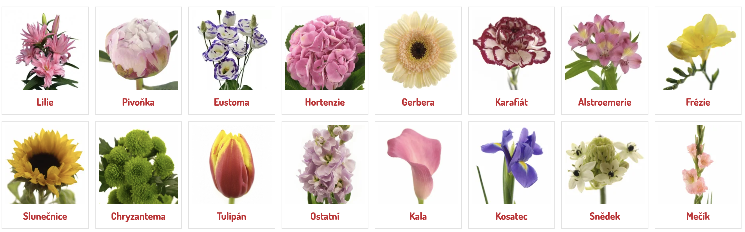 květiny.png (1.52 MB)