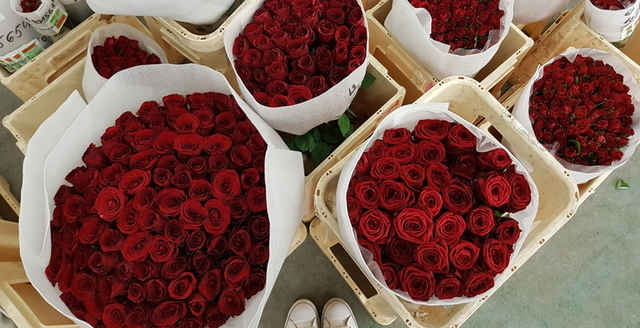 Ceny růží na Valentýna 2023
