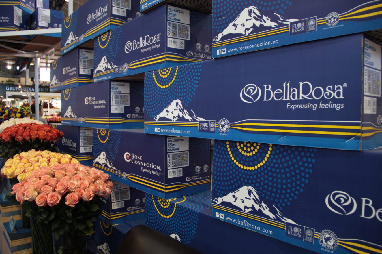 Ekvádorské růže v balení od pěstitele Bella Rosa