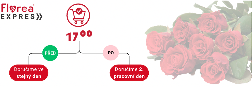 casova osa doruceni.png (239 KB)