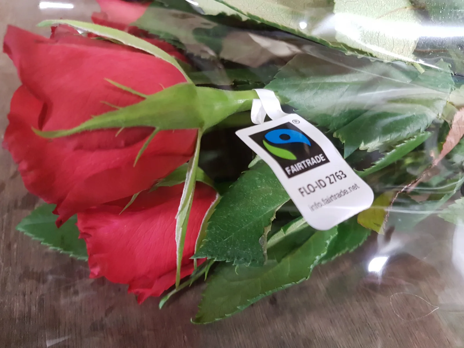 Visačka Fairtrade na řezané růži