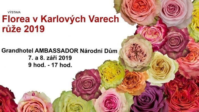 Florea v Karlových Varech 2019