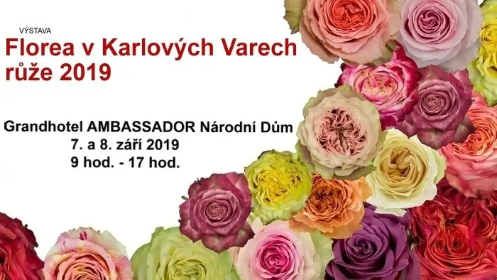 Florea v Karlových Varech 2019