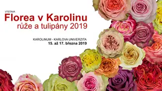 Výstava květin Florea v Karolinu 2019