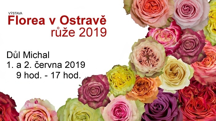 Výstava růží Florea v Ostravě 2019