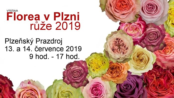 Florea v Plzni 2019