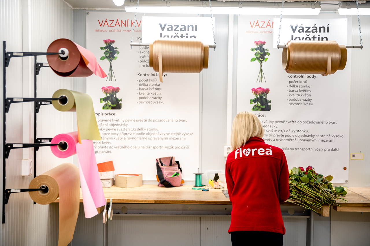 Expedice.png (1.50 MB)