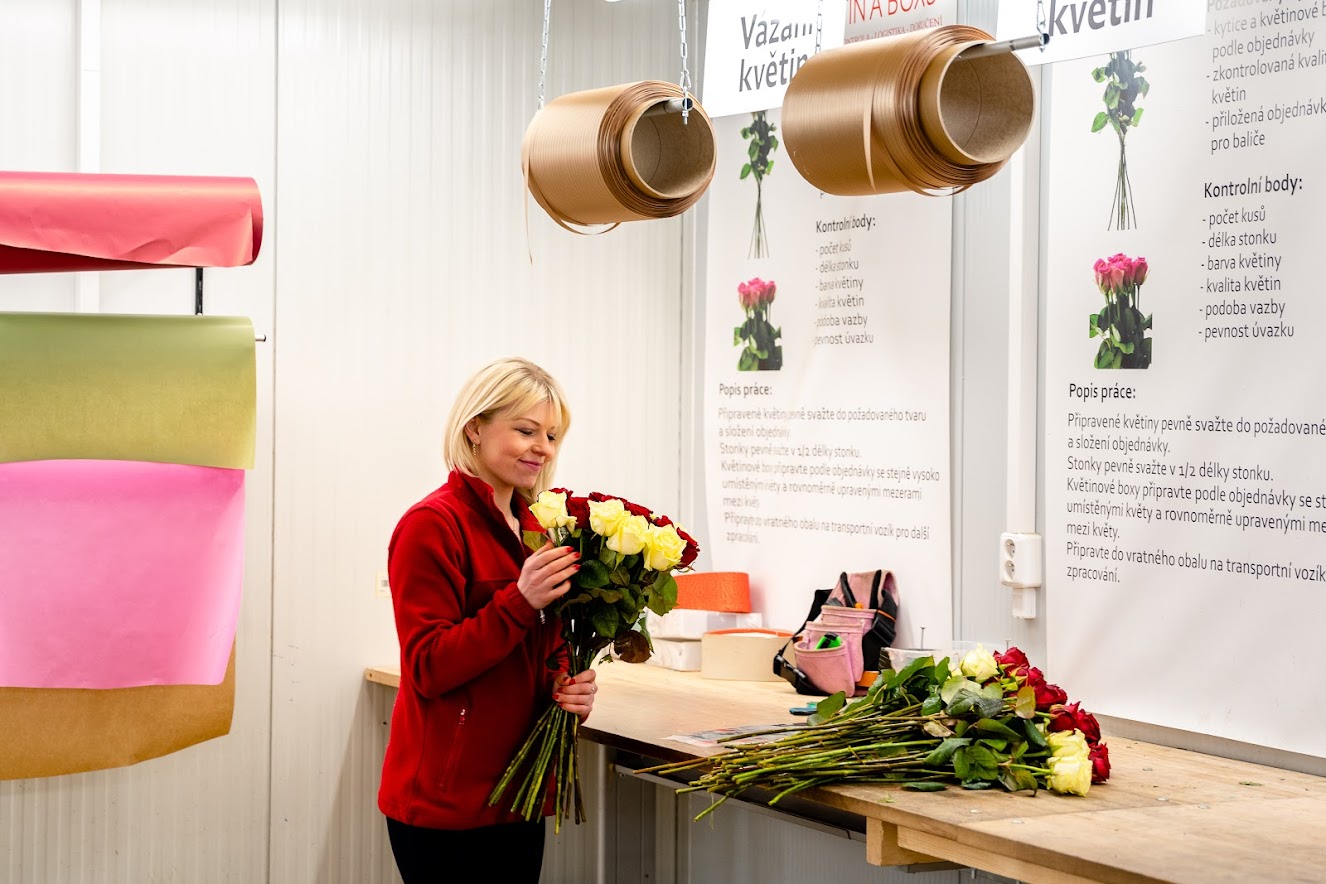 florea-017.jpg (201 KB)