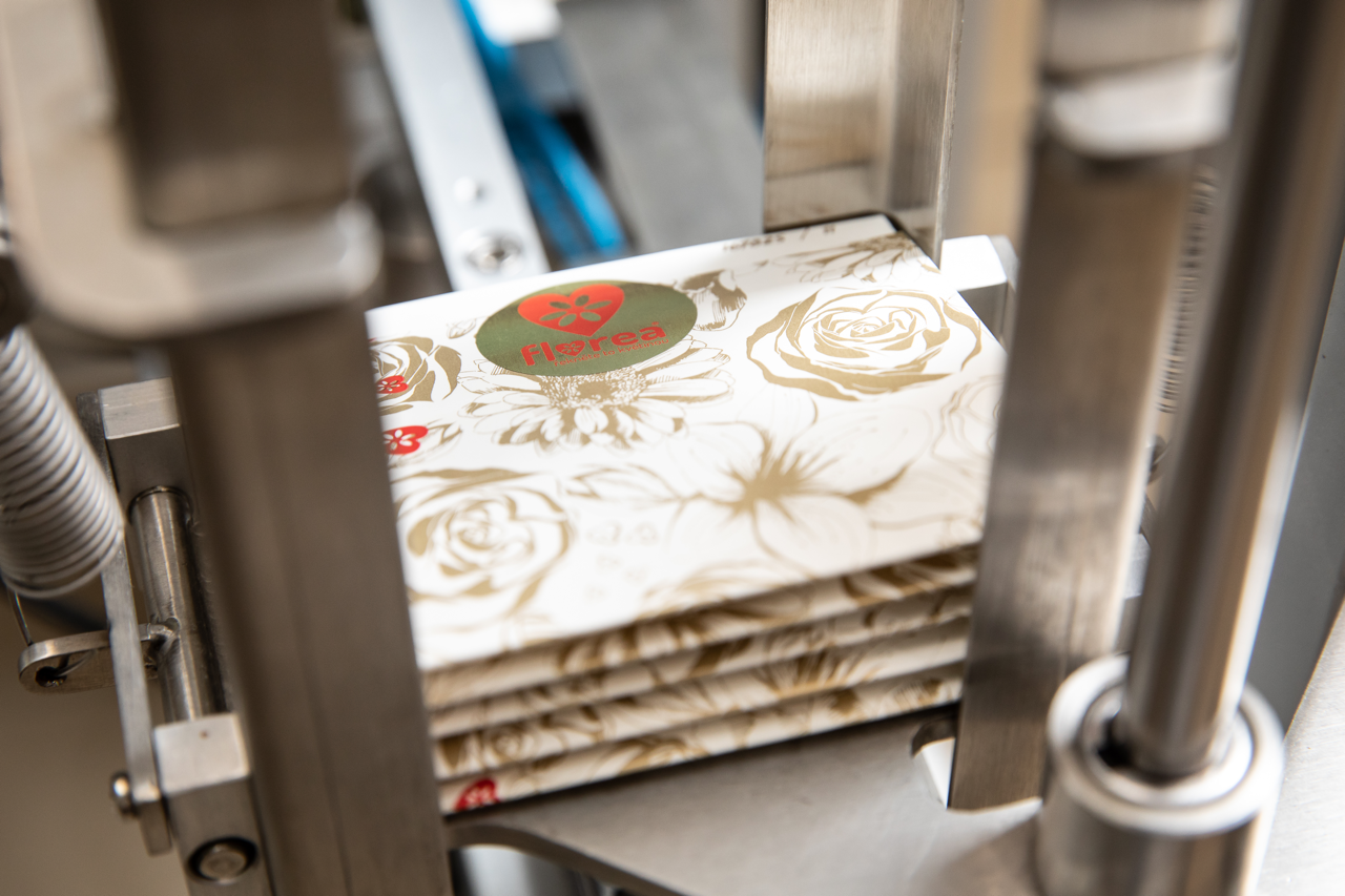 Expedice3.png (1.59 MB)