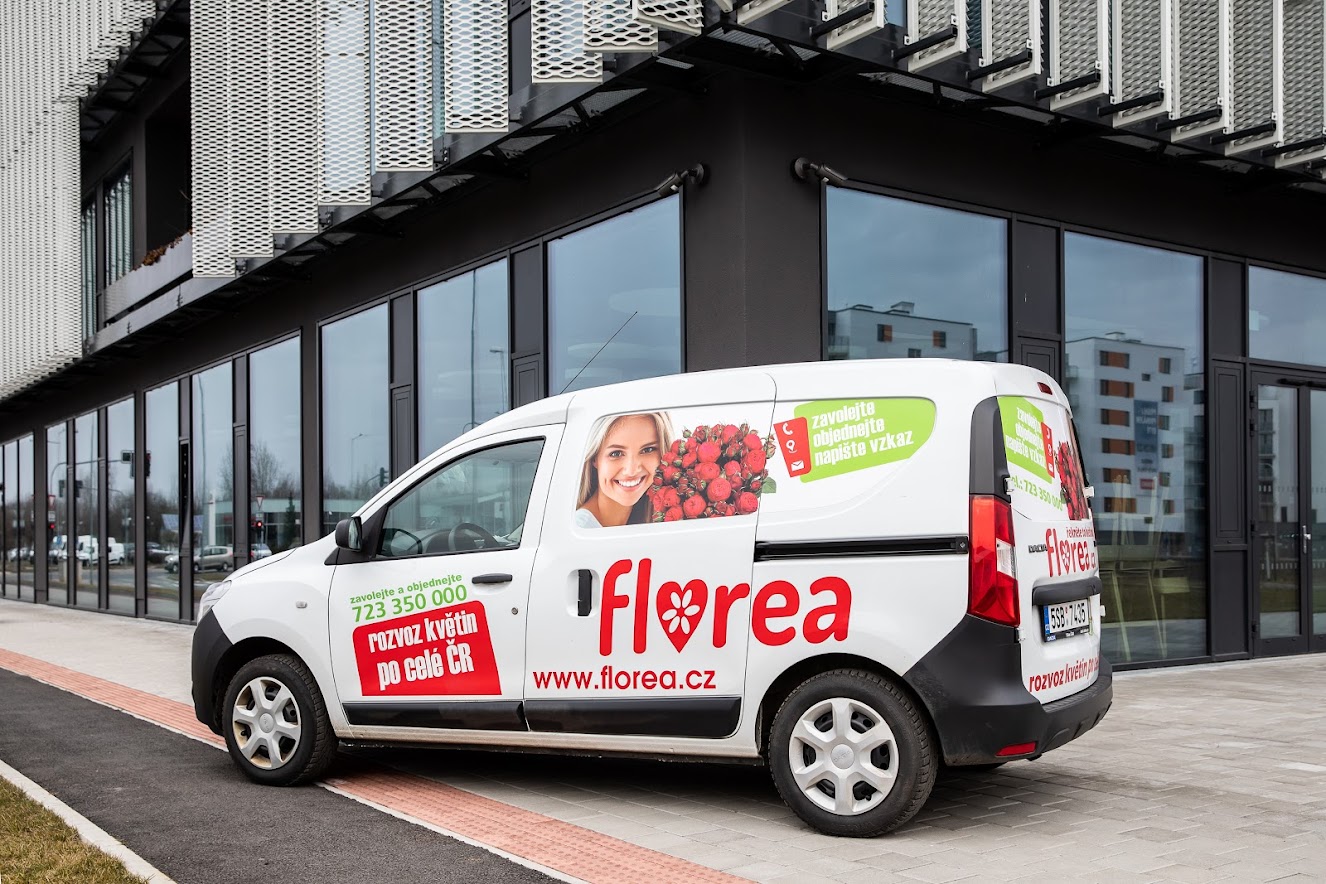 florea-089.jpg (317 KB)