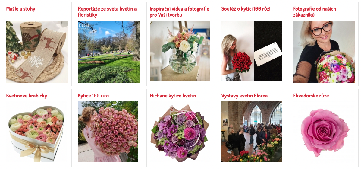 fotogalerie.png (1.06 MB)