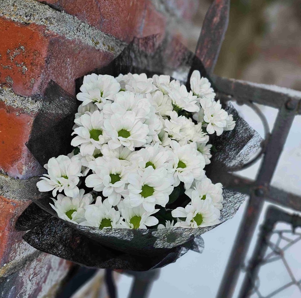 POHŘEB.jpg (441 KB)