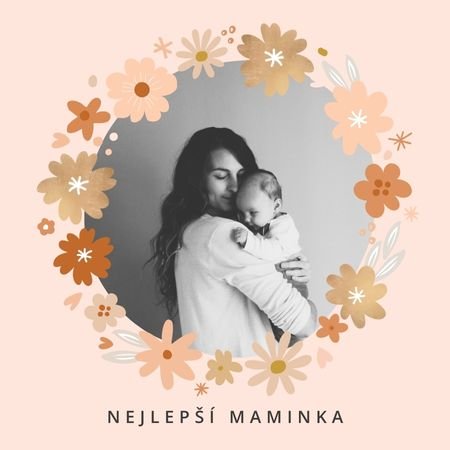 PRO MAMINKU.jpg (24 KB)