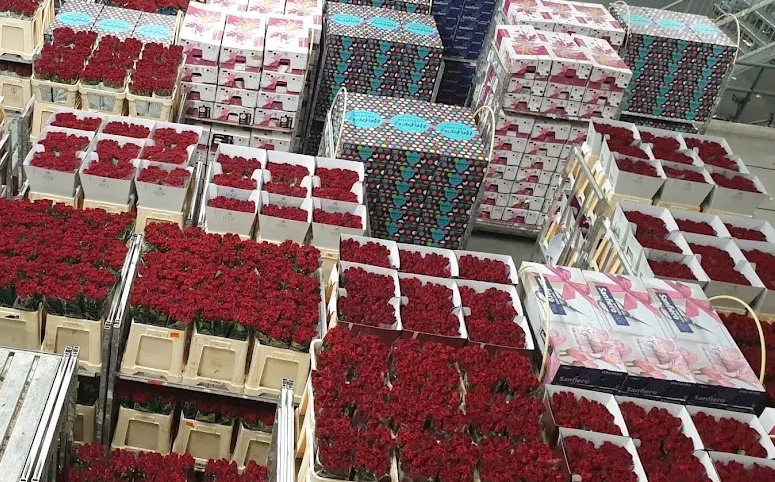 burza-kvetin (kopie).jpg (247 KB)