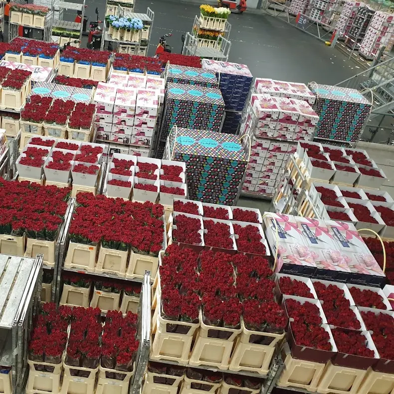 Burza květin Aalsmeer