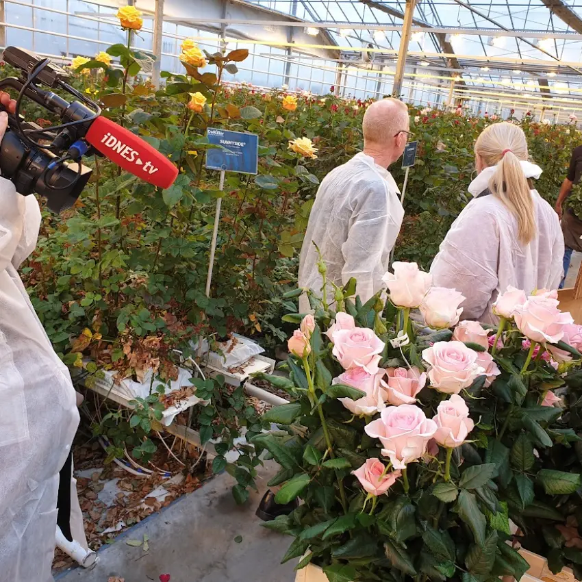 Na návštěvě u šlechtitele De Ruiter v Holandsku se štábem iDnes
