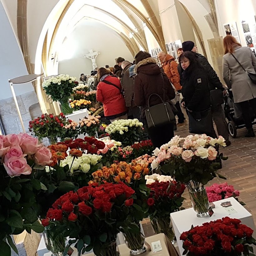 florea-v-karolinu-2018-1.jpg (169 KB)