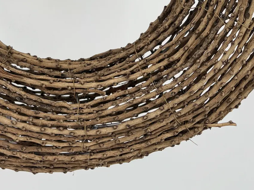 Kombretum mosambické