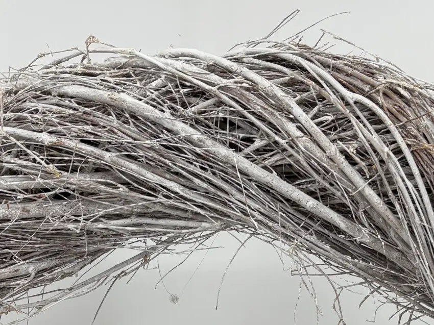 Věnec z Jilmu Sibiřského