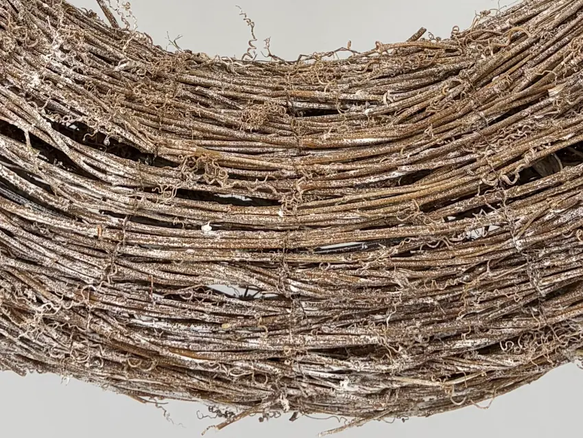 Věnec z kokotice čínské