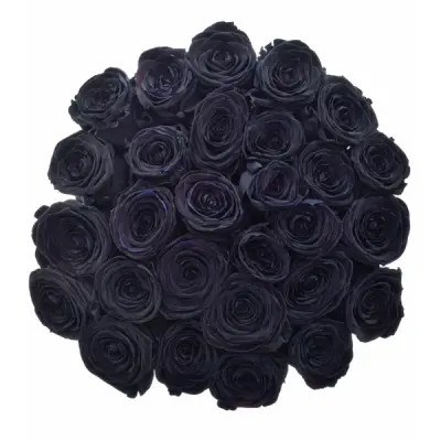 Černé růže jsou tajemno, klid a noc