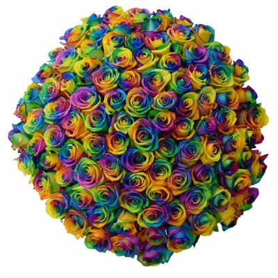 Duhové růže jsou symbolem otevřenosti a dobré nálady