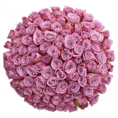 Fialové růže jsou spojeny s duchovnem, klidem a soustředěním