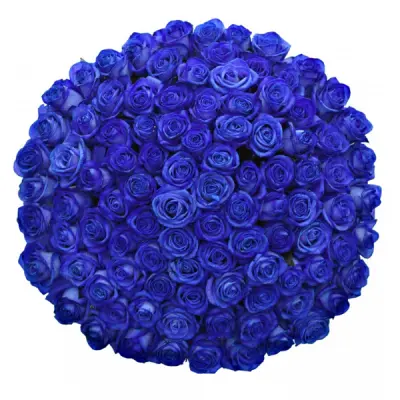 Modré růže jsou projevem přátelství a důvěry – originální dárek