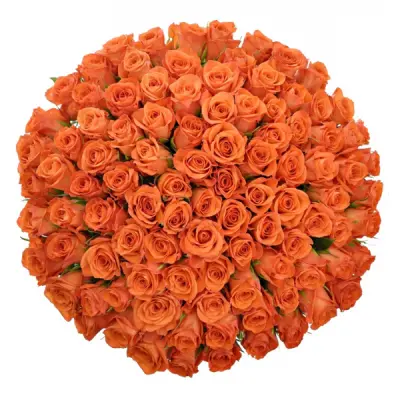 Oranžové růže znamenají optimismus a vřelost