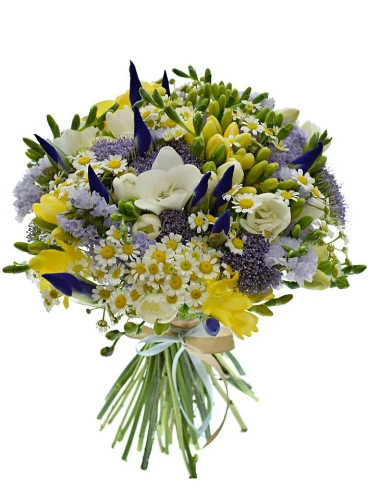 Tanacetum v kytici