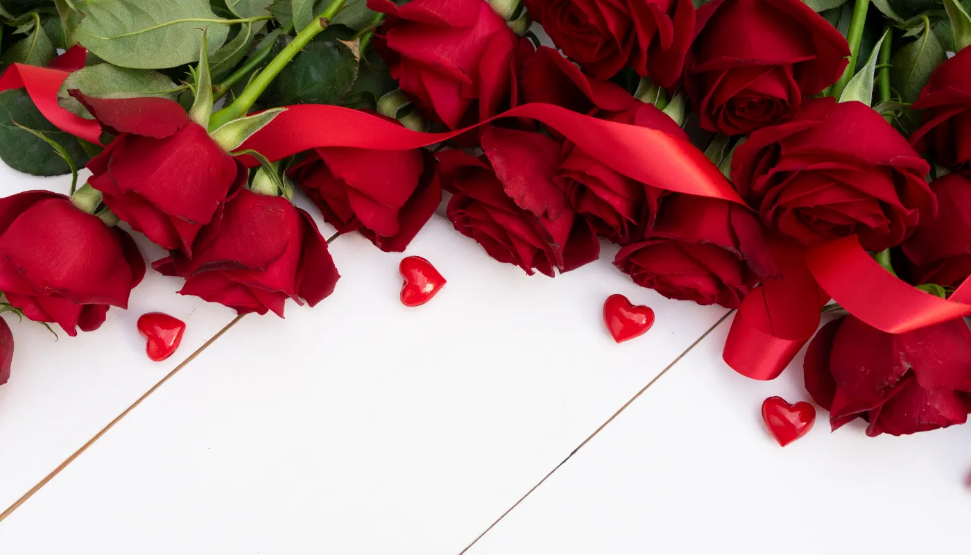 Červené růže na Valentýna – proč mohou být dražší a méně kvalitní