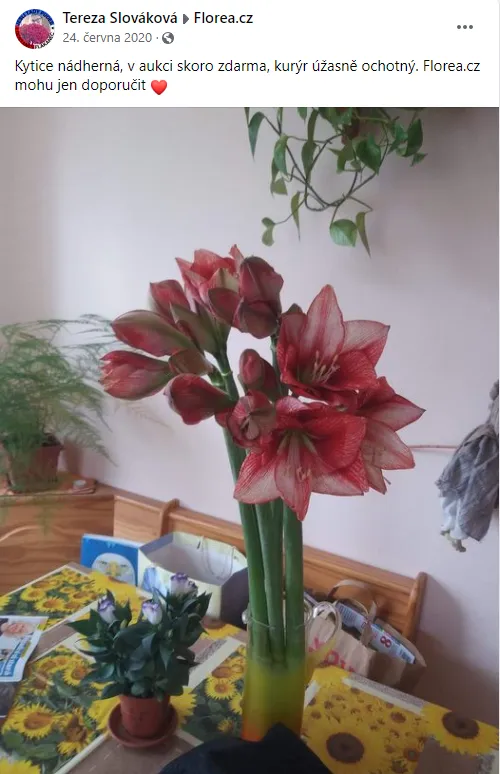 Kytice z aukce Florea