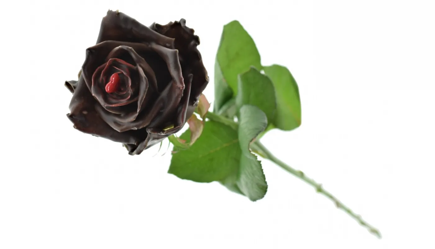 Čokoládová růže Valentine – ukázka voskové úpravy a dekorací