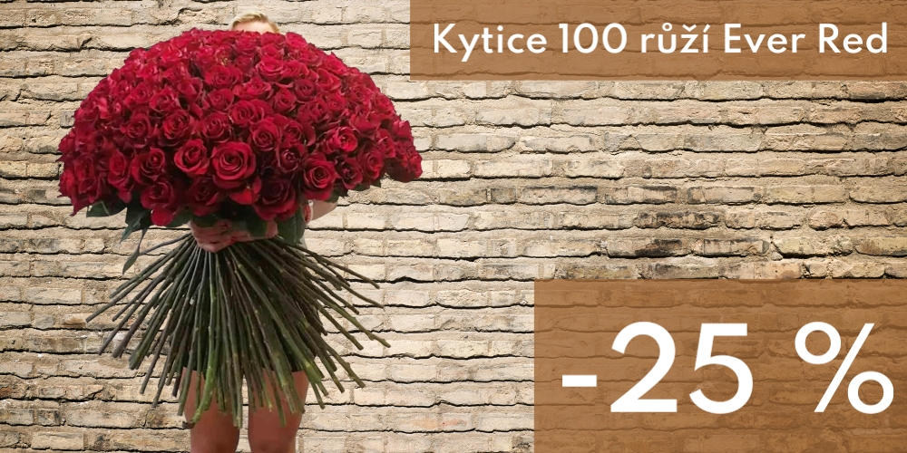 Megakytice 100 růží Ever Red