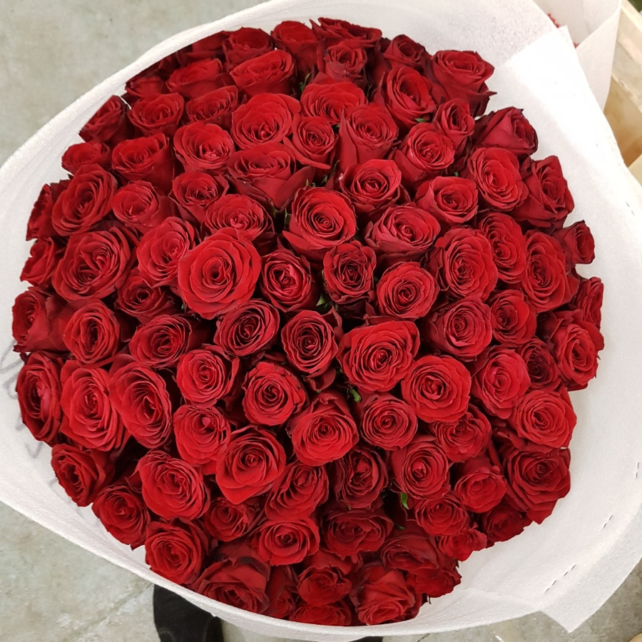 Takto vypadá kytice 100 kusů rudých růží