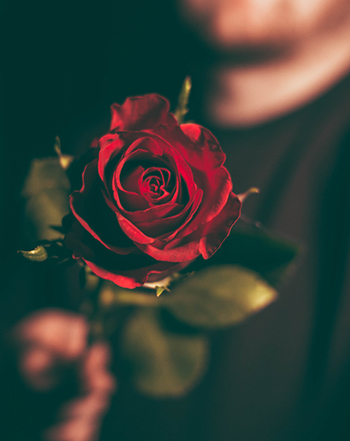 Ruže na prvé rande