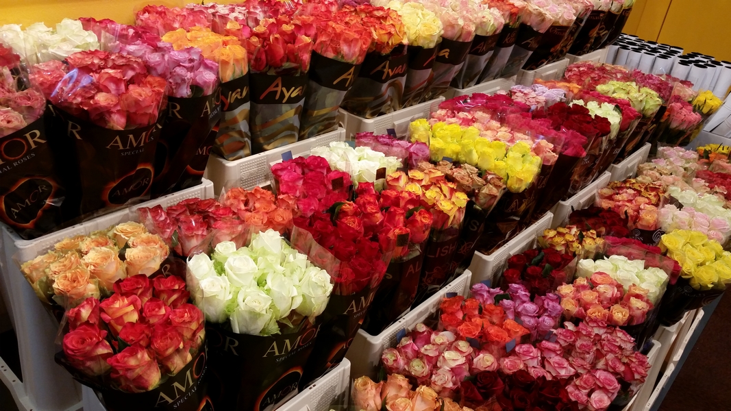 20161102_125950.jpg (625 KB)