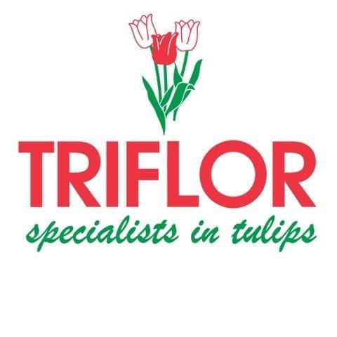 36937348_2150668521609806_162819087750135808_n.jpg (18 KB)