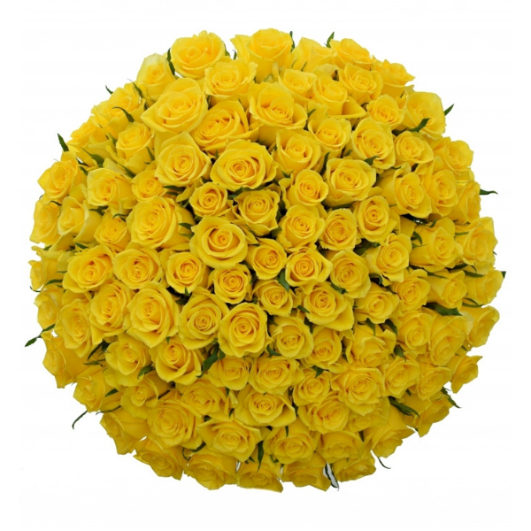 Kytice 100 žlutých růží Jackpot