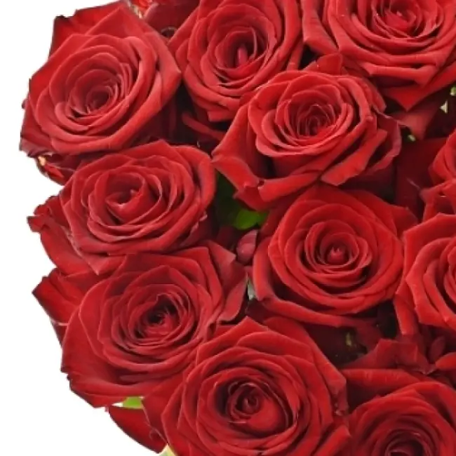 Rudá růže Red Naomi