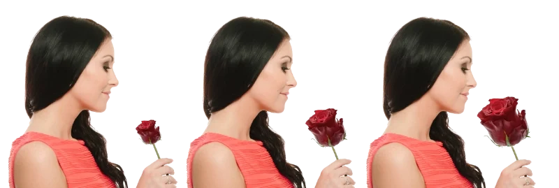 Srovnání růží o délce 90 cm, 70 cm a 50 cm