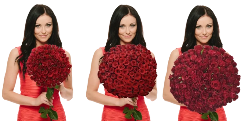 Srovnání růží o délce 90 cm, 70 cm a 50 cm