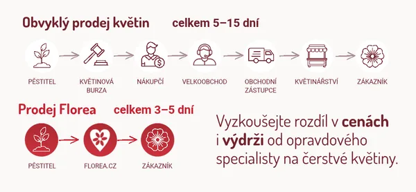 Obvyklý prodej květin trvá 5 až 15 dní přes burzu, nákupčí, velkoobchod a květinářství. Florea: od pěstitele k zákazníkovi za 3 až 5 dní.