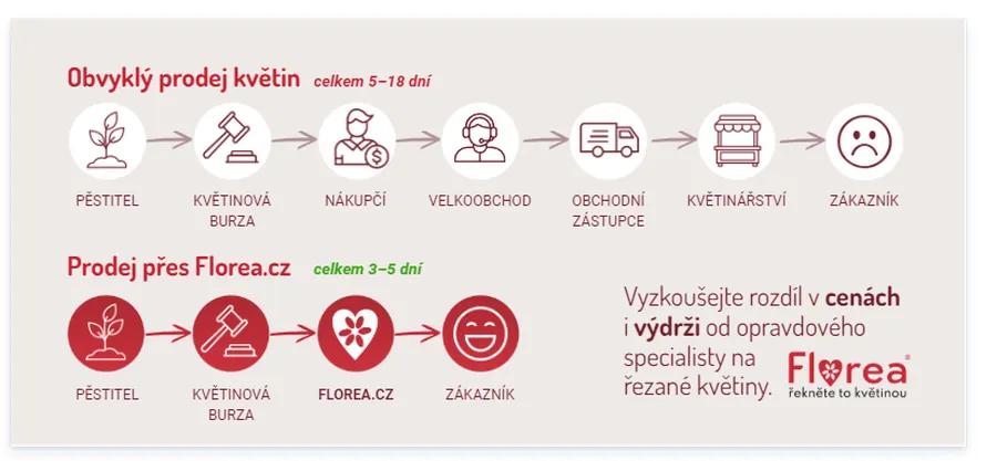 Infografika: obvyklý prodej květin přes pěstitele, burzu, nákupčího, velkoobchod, obchodního zástupce a květinářství trvá celkem 5 až 18 dní, prodej přes Florea.cz od pěstitele přes burzu k zákazníkovi 3 až 5 dní