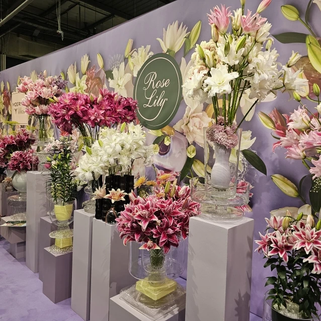 Roselily na výstavě v Holandsku (2025)