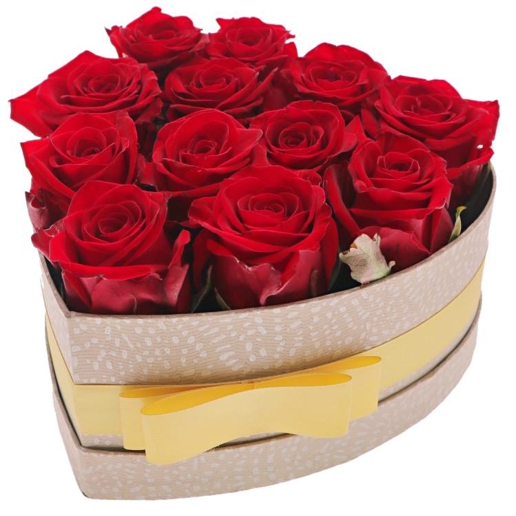 Krabička rudých růží.png (881 KB)