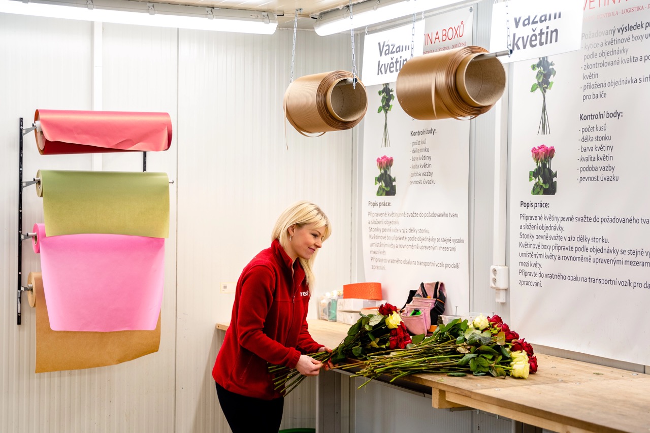 floristka.jpeg (232 KB)