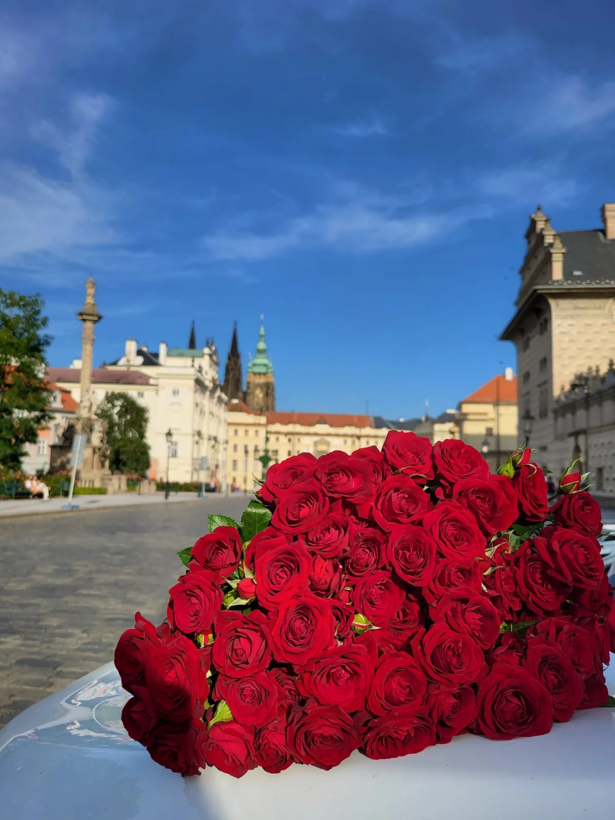 Kytice-ruze-upper-class