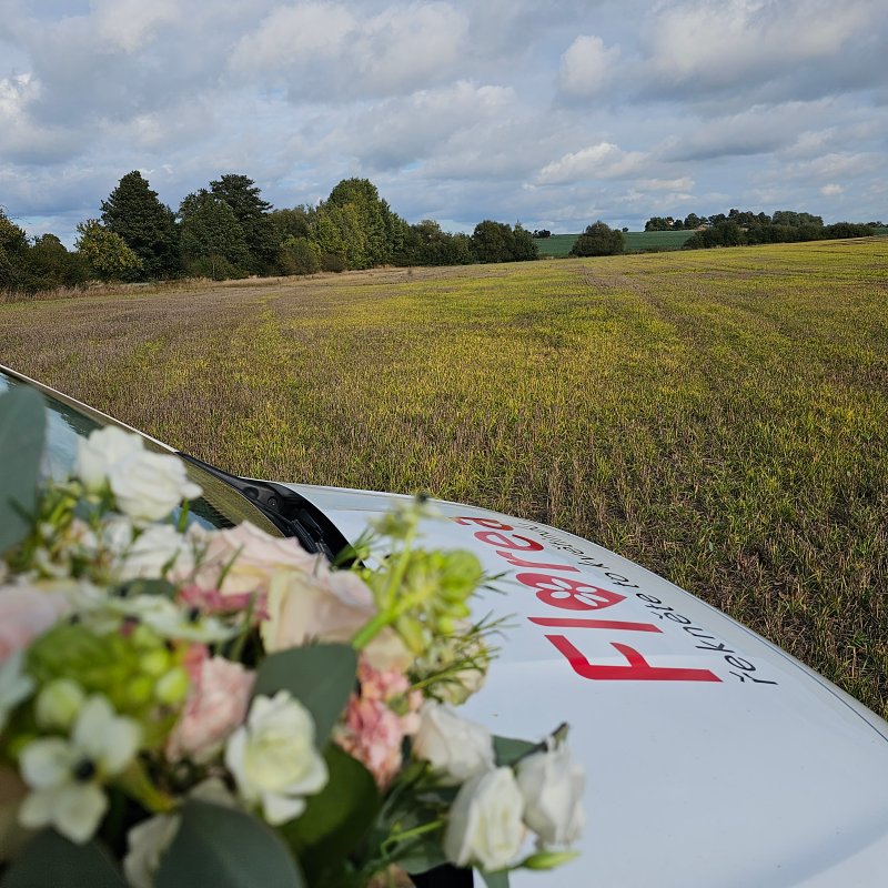 Levný a profesionální rozvoz květin Florea